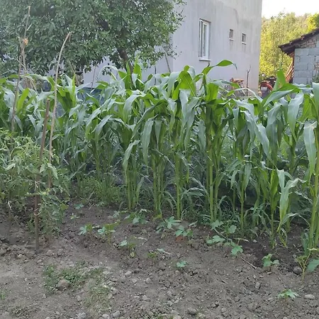 Mandalinkoy Vakantiehuis
